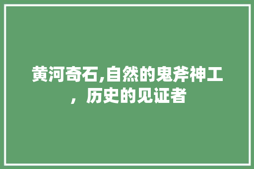 黄河奇石,自然的鬼斧神工，历史的见证者  第1张