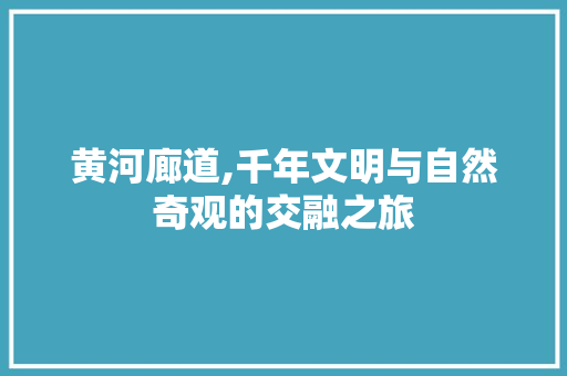 黄河廊道,千年文明与自然奇观的交融之旅