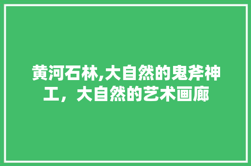 黄河石林,大自然的鬼斧神工，大自然的艺术画廊