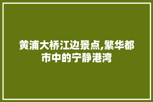 黄浦大桥江边景点,繁华都市中的宁静港湾