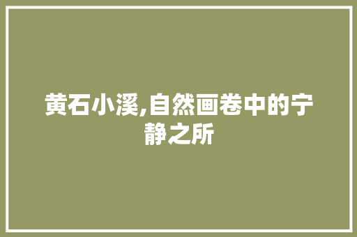 黄石小溪,自然画卷中的宁静之所