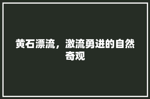 黄石漂流，激流勇进的自然奇观