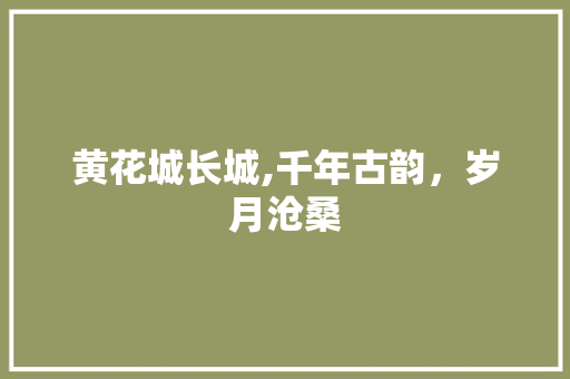 黄花城长城,千年古韵，岁月沧桑