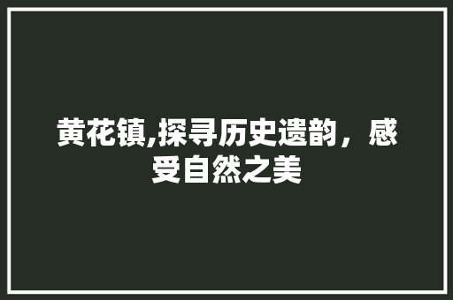 黄花镇,探寻历史遗韵，感受自然之美