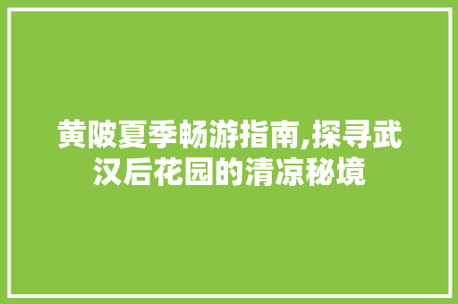 黄陂夏季畅游指南,探寻武汉后花园的清凉秘境