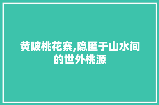 黄陂桃花寨,隐匿于山水间的世外桃源