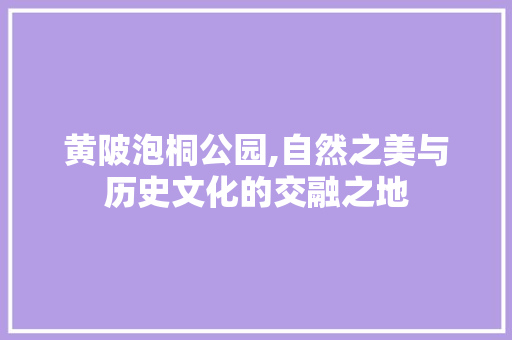 黄陂泡桐公园,自然之美与历史文化的交融之地