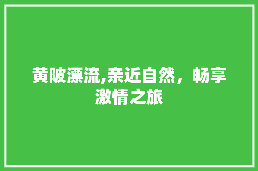 黄陂漂流,亲近自然，畅享激情之旅