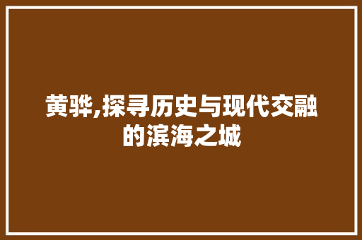 黄骅,探寻历史与现代交融的滨海之城