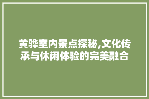 黄骅室内景点探秘,文化传承与休闲体验的完美融合