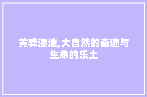 黄骅湿地,大自然的奇迹与生命的乐土