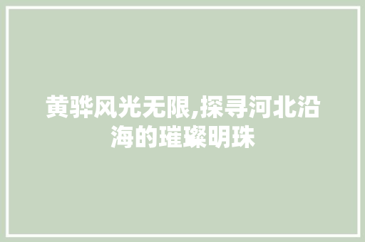 黄骅风光无限,探寻河北沿海的璀璨明珠