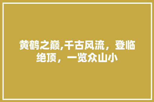 黄鹤之巅,千古风流，登临绝顶，一览众山小