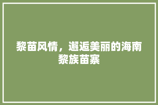 黎苗风情，邂逅美丽的海南黎族苗寨