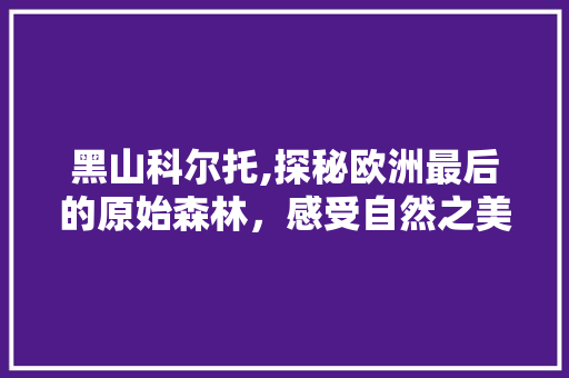 黑山科尔托,探秘欧洲最后的原始森林，感受自然之美