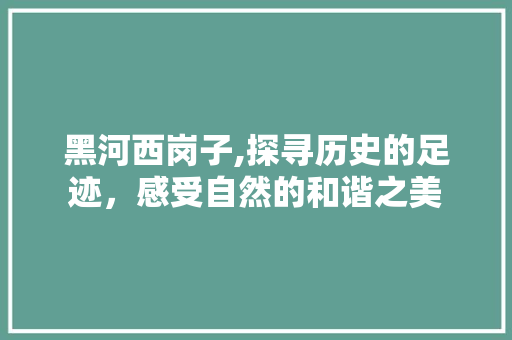 黑河西岗子,探寻历史的足迹，感受自然的和谐之美