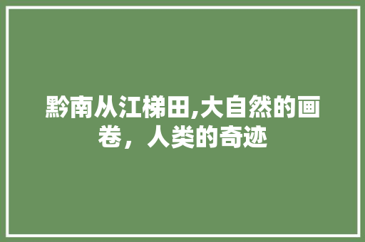 黔南从江梯田,大自然的画卷，人类的奇迹