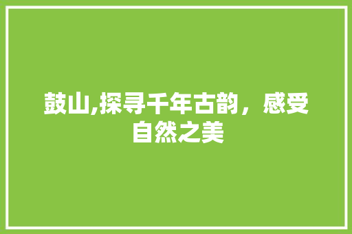 鼓山,探寻千年古韵，感受自然之美