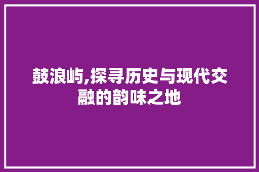 鼓浪屿,探寻历史与现代交融的韵味之地