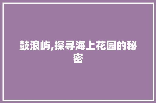 鼓浪屿,探寻海上花园的秘密