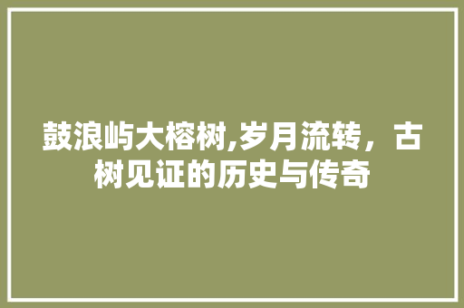 鼓浪屿大榕树,岁月流转，古树见证的历史与传奇