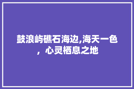 鼓浪屿礁石海边,海天一色，心灵栖息之地