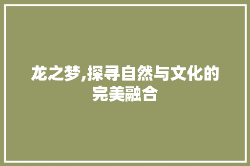 龙之梦,探寻自然与文化的完美融合