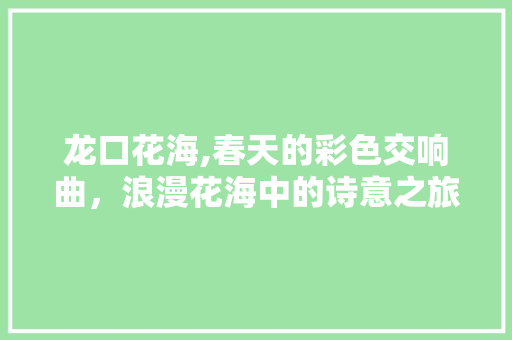 龙口花海,春天的彩色交响曲，浪漫花海中的诗意之旅