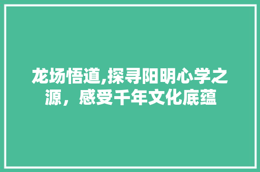 龙场悟道,探寻阳明心学之源，感受千年文化底蕴  第1张