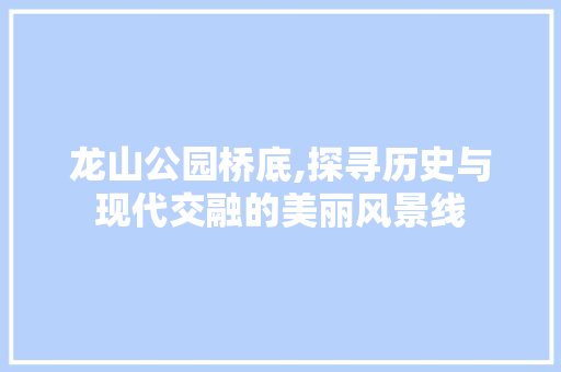 龙山公园桥底,探寻历史与现代交融的美丽风景线