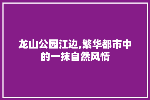 龙山公园江边,繁华都市中的一抹自然风情