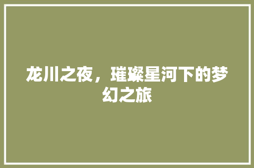 龙川之夜，璀璨星河下的梦幻之旅