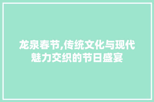 龙泉春节,传统文化与现代魅力交织的节日盛宴