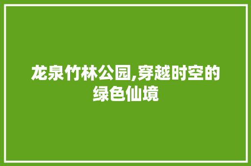 龙泉竹林公园,穿越时空的绿色仙境