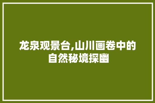 龙泉观景台,山川画卷中的自然秘境探幽