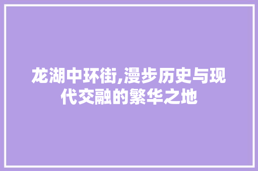 龙湖中环街,漫步历史与现代交融的繁华之地