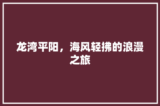 龙湾平阳，海风轻拂的浪漫之旅