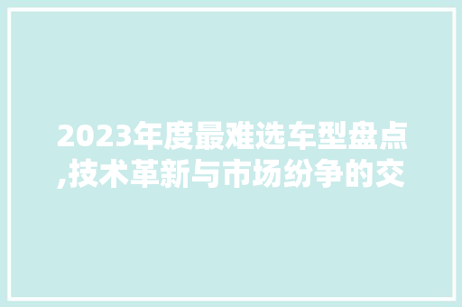 2023年度最难选车型盘点,技术革新与市场纷争的交织