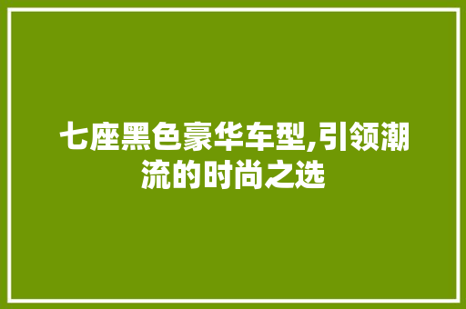 七座黑色豪华车型,引领潮流的时尚之选