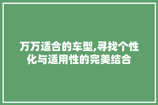 万万适合的车型,寻找个性化与适用性的完美结合