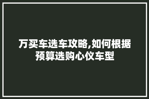 万买车选车攻略,如何根据预算选购心仪车型