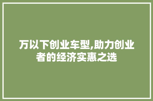 万以下创业车型,助力创业者的经济实惠之选