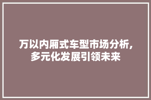 万以内厢式车型市场分析,多元化发展引领未来