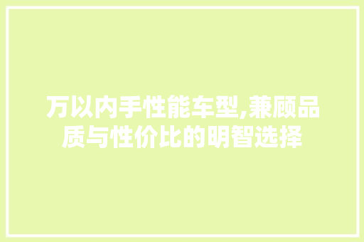 万以内手性能车型,兼顾品质与性价比的明智选择