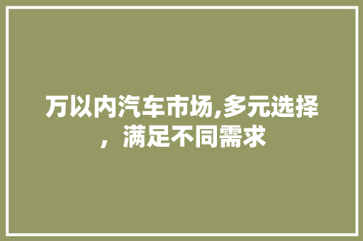 万以内汽车市场,多元选择，满足不同需求