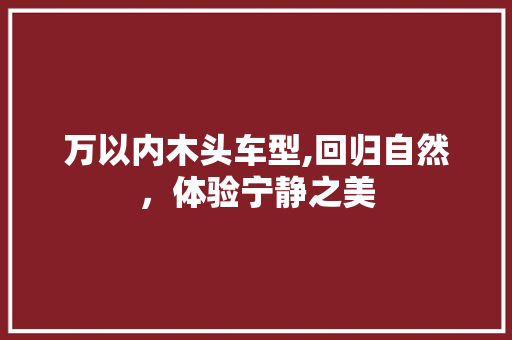 万以内木头车型,回归自然，体验宁静之美