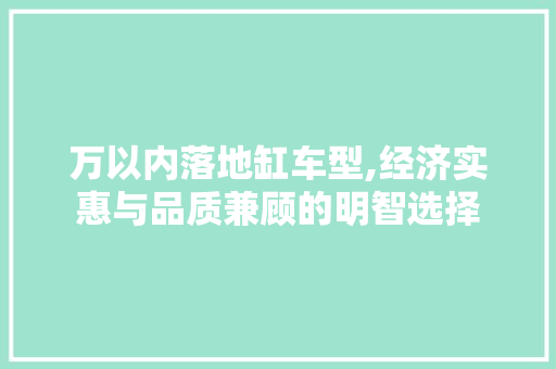 万以内落地缸车型,经济实惠与品质兼顾的明智选择