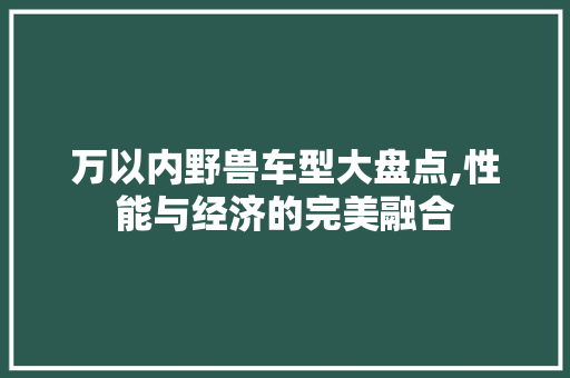 万以内野兽车型大盘点,性能与经济的完美融合