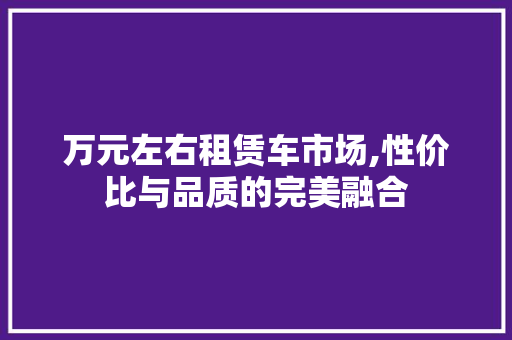 万元左右租赁车市场,性价比与品质的完美融合