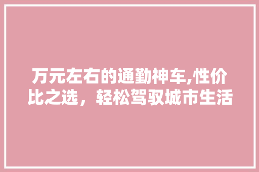 万元左右的通勤神车,性价比之选，轻松驾驭城市生活